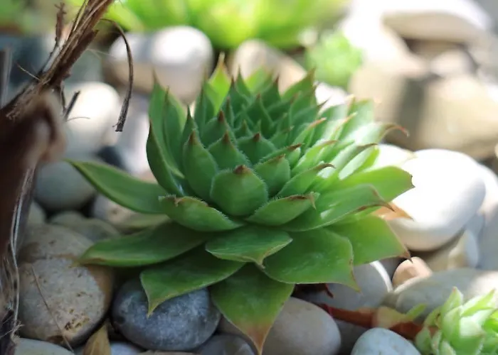 شقة Kate بوستيرا