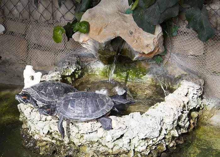 Kate * بوستيرا