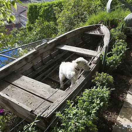 Kate Διαμέρισμα