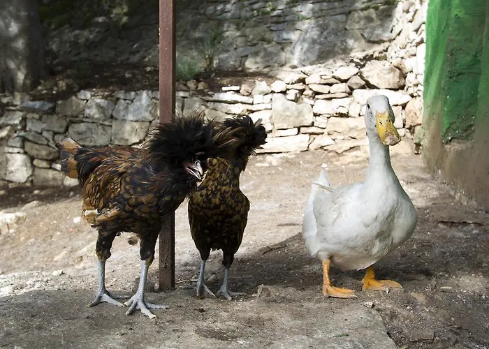 Kate ポスティレ